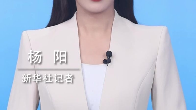 企业数据安全解决方案：定制开发的关键考量
